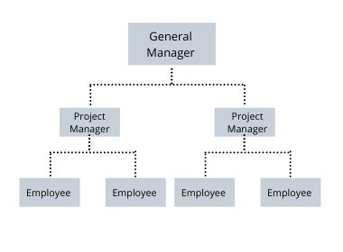 Line Organization Characteristics, Structures & Examples | Study.com