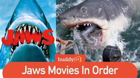 Jaws Movies In Order (How to Watch the Film Series) - BuddyTV