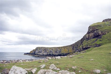 Northumberland Coast stock photo. Image of natures, grazing - 6354492