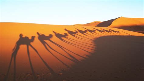 🔥 [50+] Sahara Desert Wallpapers | WallpaperSafari