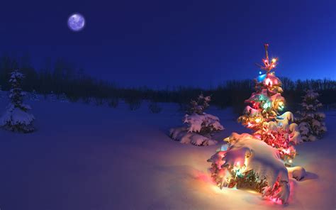 Wallpaper Of A Christmas Tree In Snowy Night | Free Wallpaper World