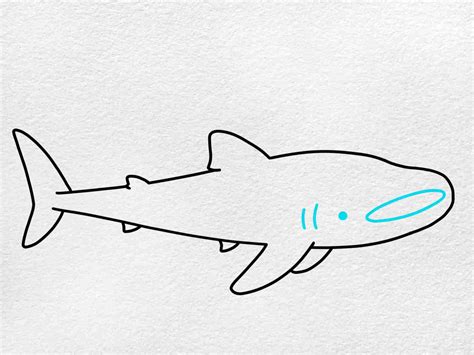 How To Draw A Whale Shark - Benson Haveracter