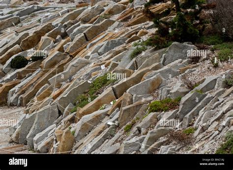 Crevice Garden High Resolution Stock Photography and Images - Alamy