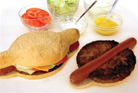 The Hamdog, A Hamburger Hot Dog Hybrid Is Here, And Life Will Never Be ...