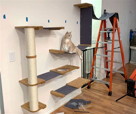 Cat shelves bridge Cat Bridge Cat wall furniture Cat shelves wall Cat ...