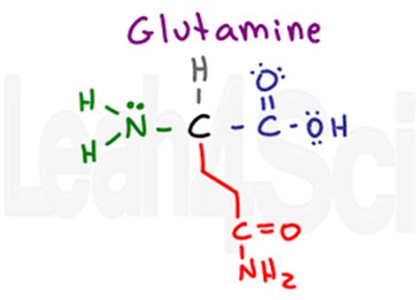 Understanding Amino Acid Side Chain Characteristics for the MCAT