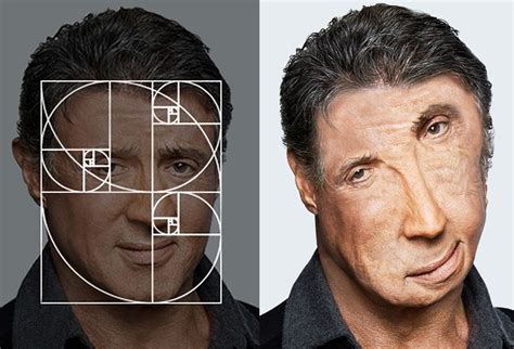 How Celebrity Faces Would Look if They Fit the Golden Ratio | WIRED