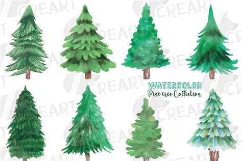 Watercolour Christmas Pine Trees Clipart Graphic by CreartGraphics ...