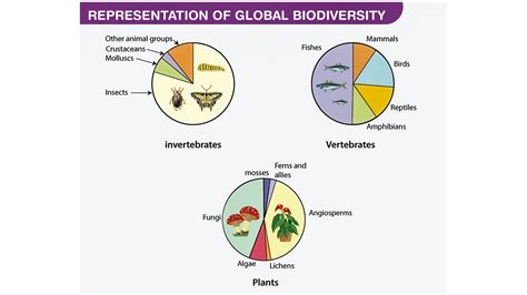 How does the loss of species diversity affect an ecosystem?