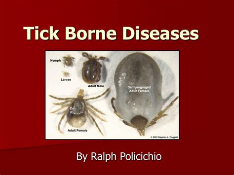 PPT - Tick Borne Diseases PowerPoint Presentation, free download - ID:365733