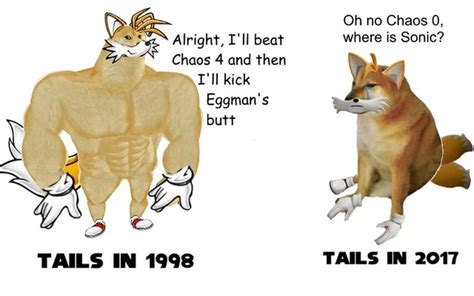 Pin on Tails Memes That Need to be Seen