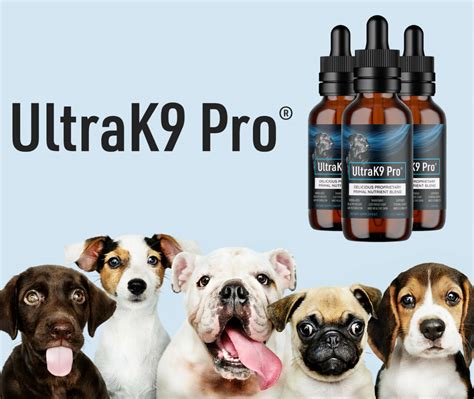 Ultra K9 Pro Reviews for Dogs [The 7 Undeniable Facts] | Kent Reporter