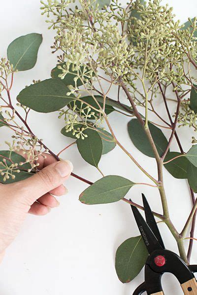 DIY Eucalyptus Garland - Homey Oh My