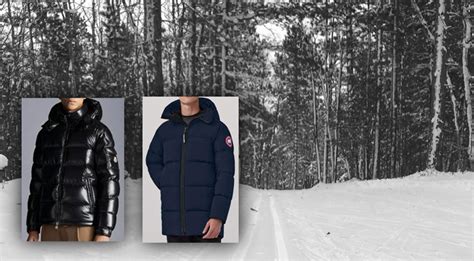 Canada Goose vs Moncler Jackets: Which Brand is Better? - Trails and ...