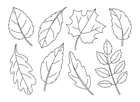 Aggregate 150+ autumn leaves drawing latest - seven.edu.vn