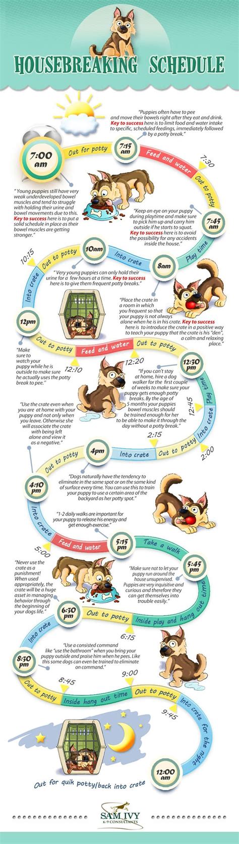 Puppy Potty Training Schedule Pdf - lrjourneay