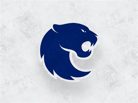 FURIA Logo by Luan Corrêa on Dribbble