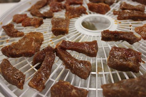 22+ Deer Jerky Recipe Dehydrator - DemmiBoston