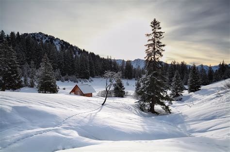 Premium Photo | Wooden cabin in snowy alps