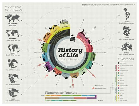 History of Life :: Behance