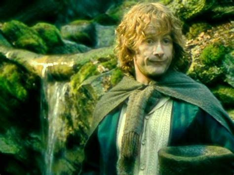 Picture of Peregrin Took