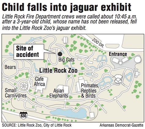 City of Little Rock releases findings from zoo investigation