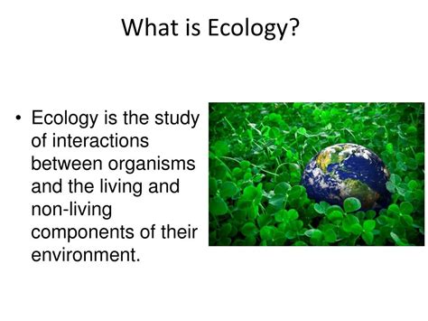 What Is Ecology Types Importance And Examples Of Ecology - ZOHAL