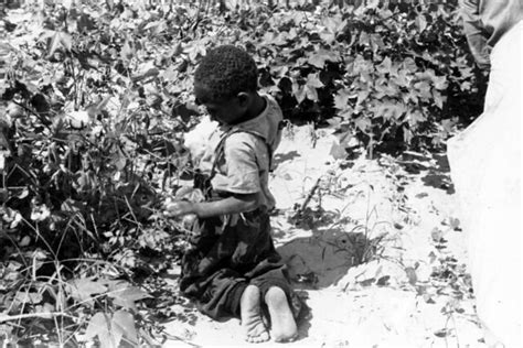 A barefoot Black boy kneels to pick cotton | Flickr - Photo Sharing!