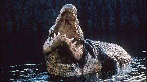 Giant Crocodile | Anaconda & Lake Placid Wikia | Fandom