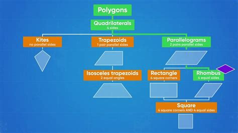 Hierarchy Of Shapes Quadrilaterals