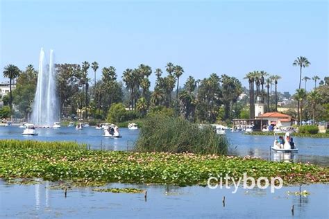 10 BEST Things to do at Echo Park Lake - CityBOP