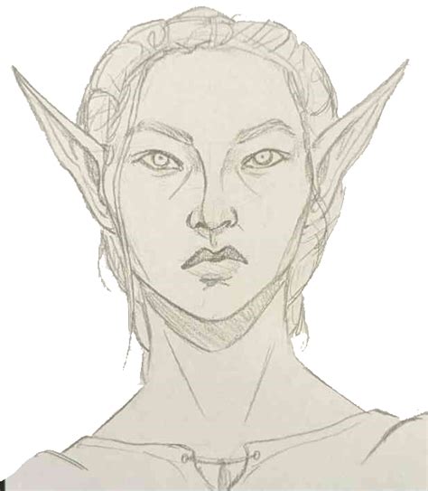 The Elf Character in Elddevand | World Anvil