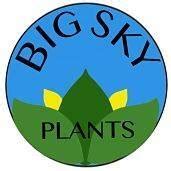 Big Sky Plants
