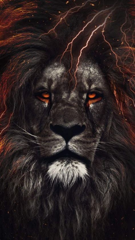 Lion King Eyes - iPhone Wallpapers : iPhone Wallpapers | Lion wallpaper iphone, Lion live ...