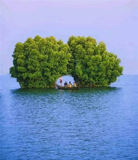 Munroe Island, Kollam, Kerala in 2020 | Cool places to visit, Family ...