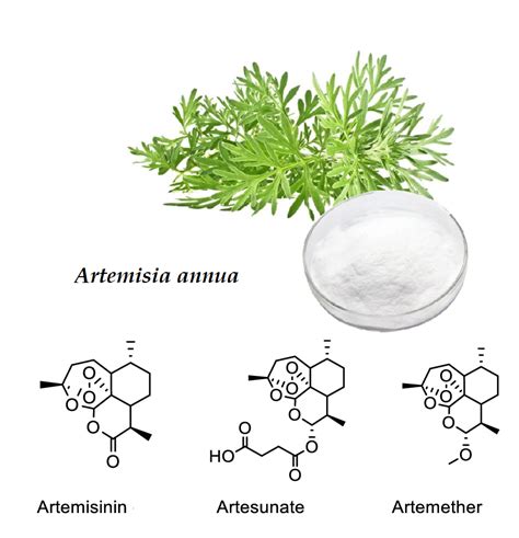 Content analysis of artemisinin, a bioactive compound from Artemisia annua - Inslab