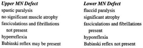 Are Fasciculations Upper Or Lower Motor Neuron - Infoupdate.org