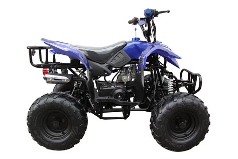 Atv Nina