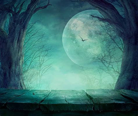 Eerie Night With Bat Dry Tree Background For Halloween Backdrops ...