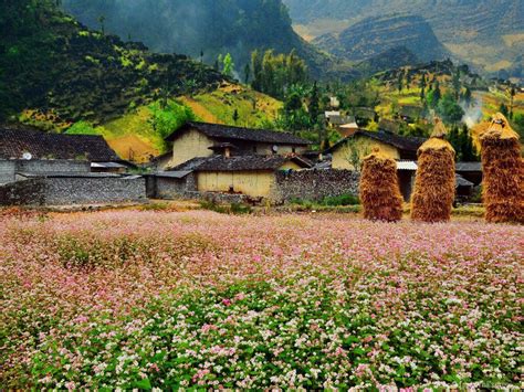 Thung lũng Sủng Là, bông hoa giữa cao nguyên đá | VIETRAVEL
