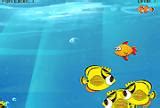 Fish Simulator - Game Fish Simulator Free online