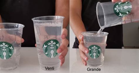 Here's What Your Starbucks Barista Won't Tell You About The Venti And ...