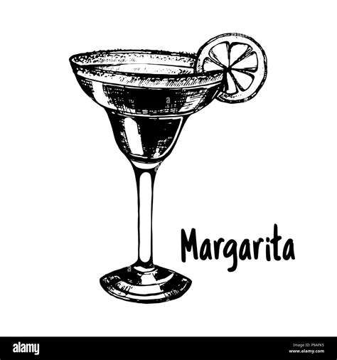 Hand drawn sketch style Margarita cocktail isolated on white background ...