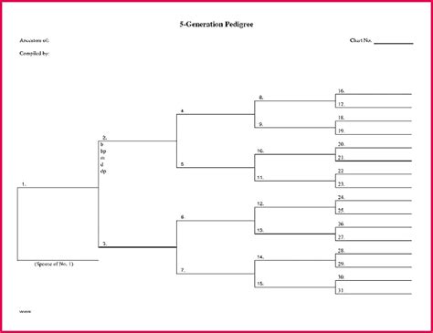 4 Cat Pedigree Certificate Template 74367 | FabTemplatez