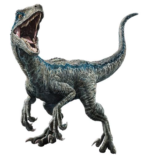 Fallen Kingdom: Blue the Velociraptor V3 by sonichedgehog2 on DeviantArt