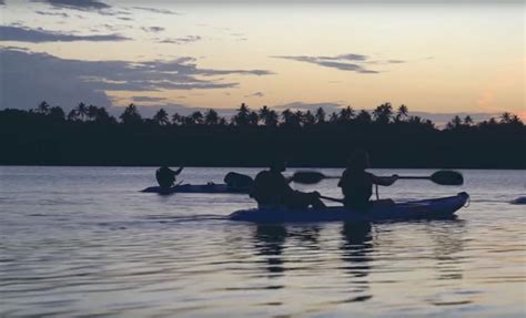 Bioluminescent Bay Glass Bottom Kayak Tour