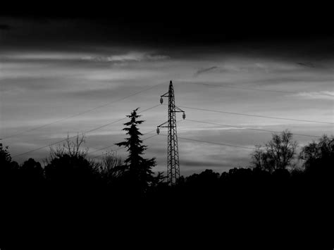 Silhouettes of Trees and Electricity Tower on Sunset · Free Stock Photo