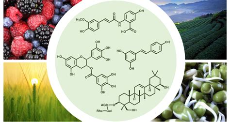 Phytochemicals - WUR