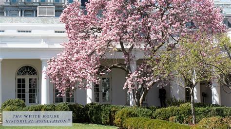 Zoom Background White House Press Room Free Zoom Backgrounds Chicago ...