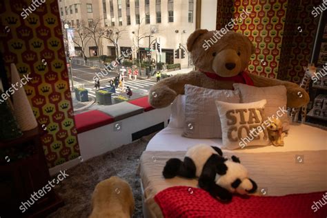 Teddy Bear Displayed Fao Schwarz New Editorial Stock Photo - Stock ...